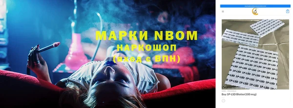 стафф Алексин