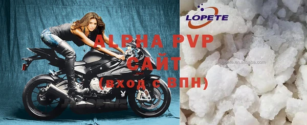 стафф Алексин