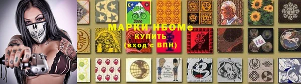 стафф Алексин