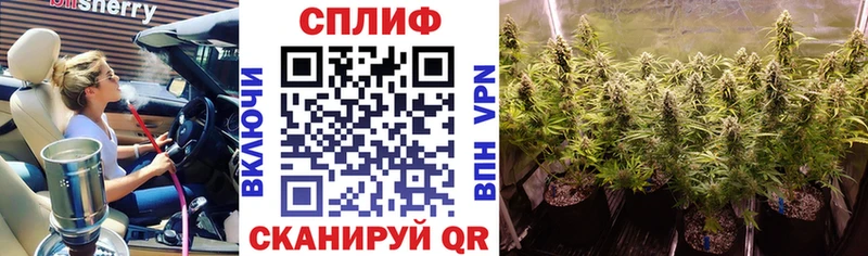Канабис THC 21%  blacksprut зеркало  Тобольск  что такое наркотик 